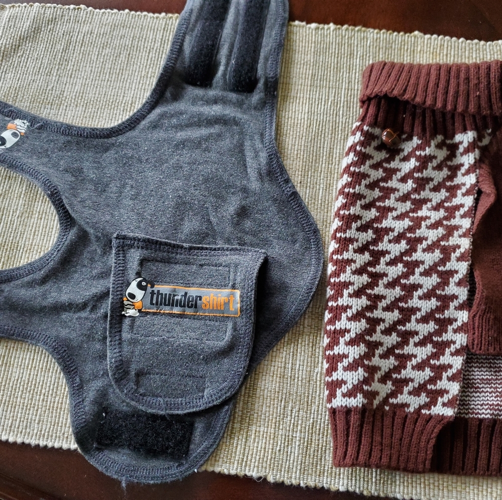 Thunder shirt for dog